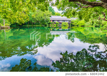 (Shizuoka Prefecture) Mishima City Rakujuen, Obama Pond of Mansui 68041442