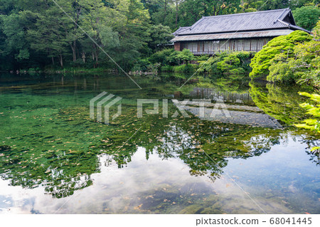(Shizuoka Prefecture) Mishima City Rakujuen, Obama Pond of Mansui (Shizuoka Prefecture) Mishima City Rakujuen, Obama Pond of Mansui 68041445