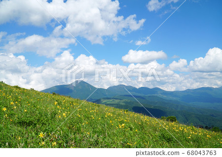 Kirigamine plateau where Nikkosuge is blooming Kirigamine plateau where Nikkosuge is blooming 68043763