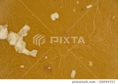 Close-up of beeswax melted from honeycomb. Close-up of beeswax melted from honeycomb. 68044351