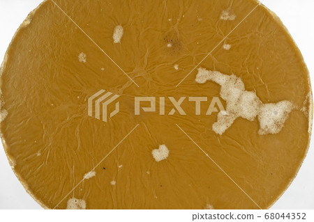 Circle of natural beeswax melted from honeycomb Circle of natural beeswax melted from honeycomb 68044352