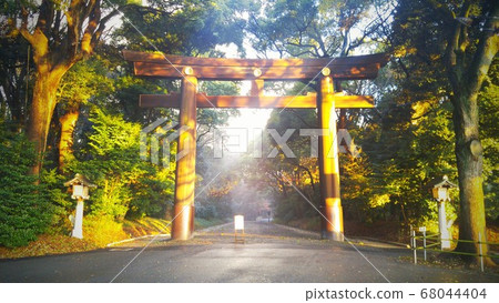 Meiji Shrine Torii after the rain Meiji Shrine Torii after the rain 68044404