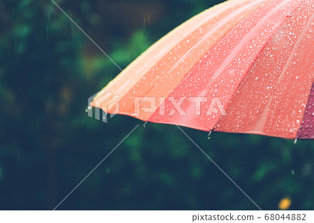 Colorful umbrella in the garden at the rainy days Colorful umbrella in the garden at the rainy days 68044882