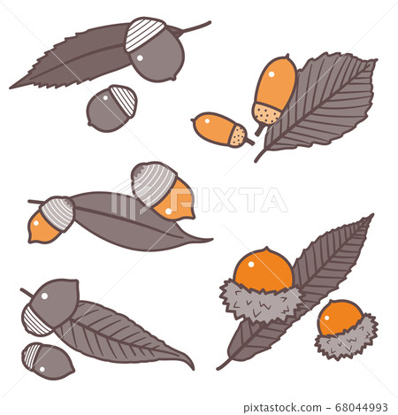 Acorn fruit and leaf set / Kunugi, oak, oak / 2 colors 68044993