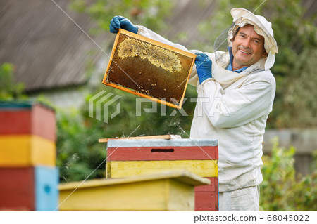 Beekeeper at apiary 68045022