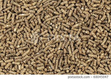 dry bait for fishing dry bait for fishing 68045047