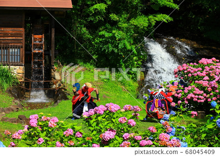 繡球和惡魔劍舞 68045409