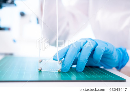 Organ-on-a-chip (OOC) - microfluidic device chip 68045447