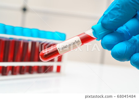 Blood sample test tube in doctor hand for . Blood sample test tube in doctor hand for . 68045484