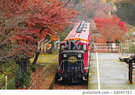 在京都的秋天,S峨野觀光鐵路/無軌電車以秋天的顏色沿著嵐山和保津峽行駛 在京都的秋天,S峨野觀光鐵路/無軌電車以秋天的顏色沿著嵐山和保津峽行駛 68045783