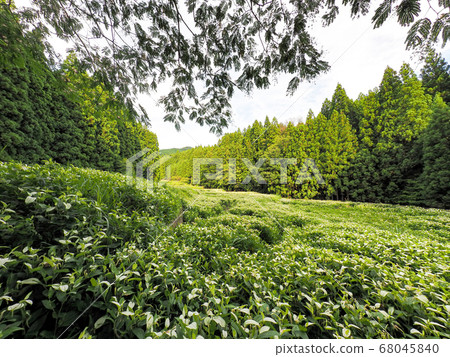 Mitsue Village Okada Valley Half Summer Garden 68045840