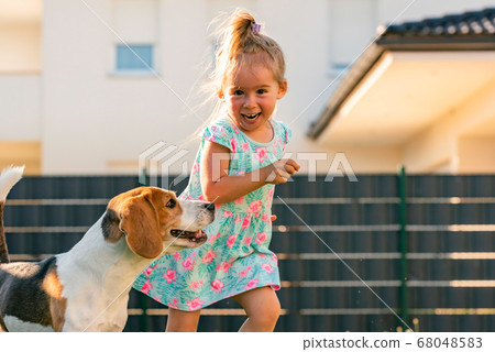 Baby girl running with beagle dog in backyard in Baby girl running with beagle dog in backyard in 68048583