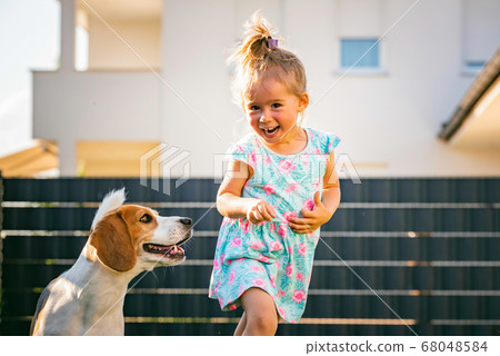 Baby girl running with beagle dog in backyard in Baby girl running with beagle dog in backyard in 68048584