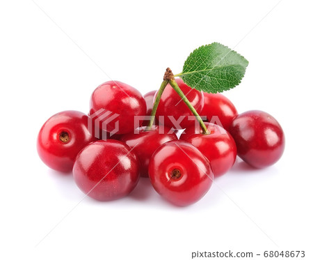 Cherry Cherry 68048673