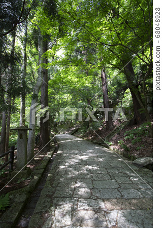 《Yamagata Prefecture》Yamadera 68048928