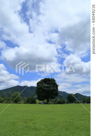 Miyagase Dam Keyaki Square Lawn Miyagase Dam Keyaki Square Lawn 68049216