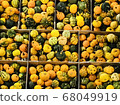 Flower market pumpkin 68049919