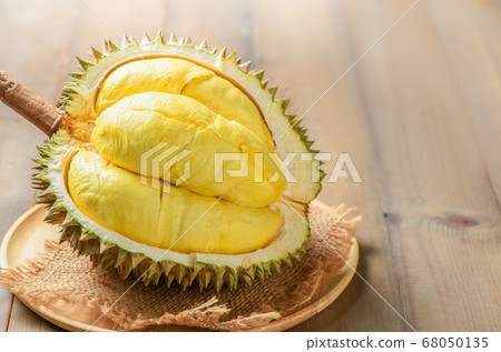 Durian (Kan yao) or Durio zibthinus Murray on wood 68050135