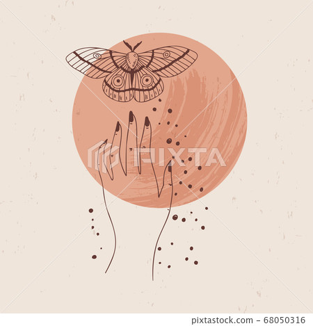 Mystery lineart logo template 68050316