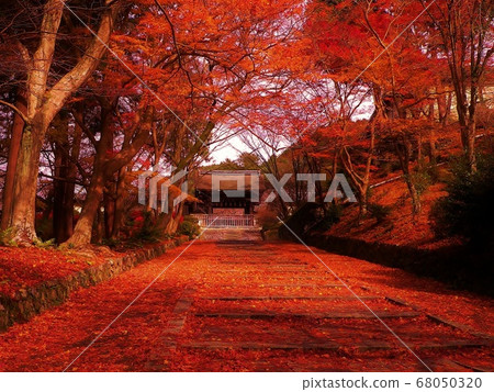 Fall of Kyoto Fall of Kyoto 68050320