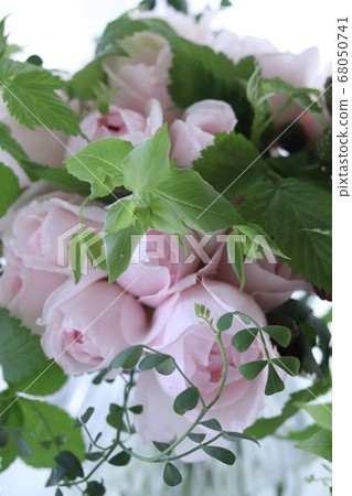 玫瑰花束 玫瑰花束 68050741