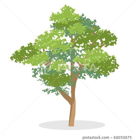 Vector illustration cut of a slightly photorealistic tree with shading 68050875