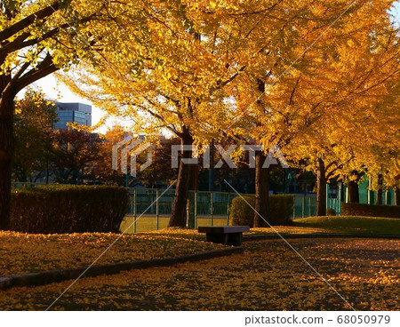 Fall of the park Fall of the park 68050979
