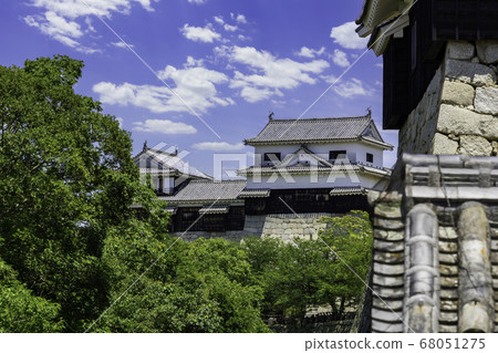 愛媛縣松山市松山城大城堡 68051275