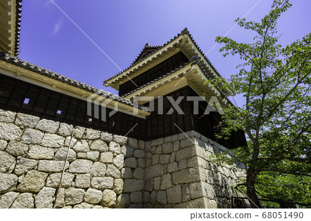 愛媛縣松山市Tatsumi Tower松山城堡 愛媛縣松山市Tatsumi Tower松山城堡 68051490