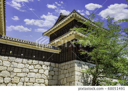 愛媛縣松山市Tatsumi Tower松山城堡 愛媛縣松山市Tatsumi Tower松山城堡 68051491