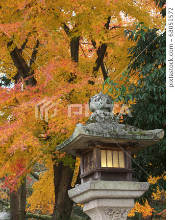 奈良春日神社的燈籠和秋葉 奈良春日神社的燈籠和秋葉 68051572