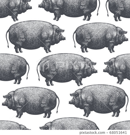 Hand drawn farm animals background. Vector pig Hand drawn farm animals background. Vector pig 68051641