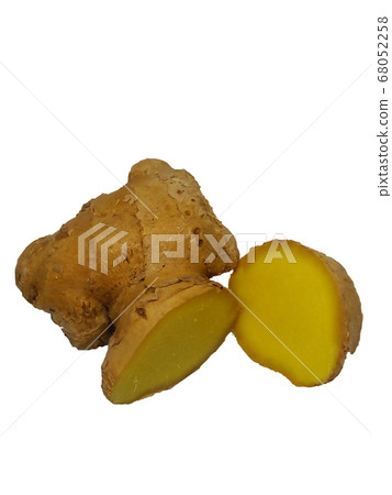 Ginger ginger ginger Ginger ginger ginger 68052258