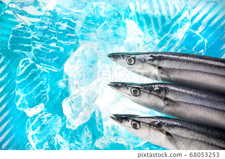 Up of 3 saury [blue background] 68053253