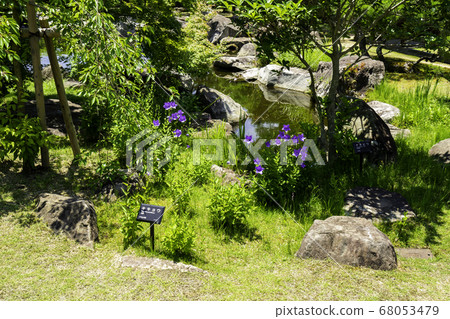 Matsuyama Castle Ninomaru Historic Garden Hayashizumiba Matsuyama City, Ehime Prefecture Matsuyama Castle Ninomaru Historic Garden Hayashizumiba Matsuyama City, Ehime Prefecture 68053479