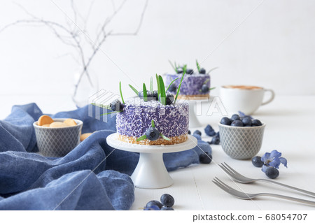 No bake blueberry mini cheesecakes enveloped in coconut and embellished with real blueberries 68054707
