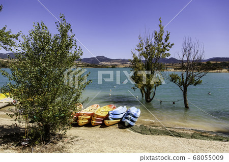 Natural swamp with canoes 68055009