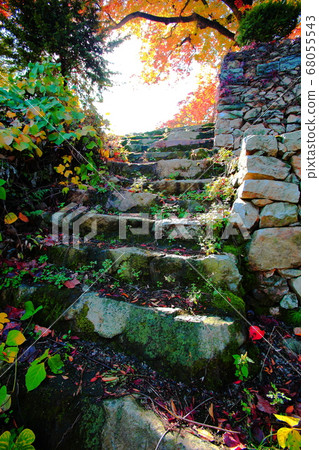 Ganghwa Cheongnyeonsa Stone Steps 68055543