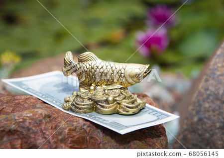 image of gold fish water lily background image of gold fish water lily background 68056145