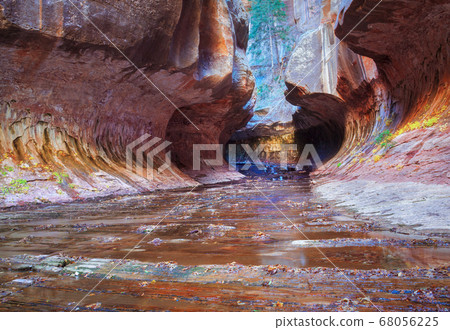 Outdoor Scene of Zion National Park in Utah 68056225