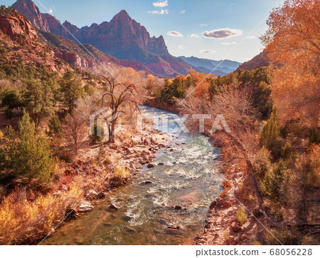 Outdoor Scene of Zion National Park in Utah Outdoor Scene of Zion National Park in Utah 68056228