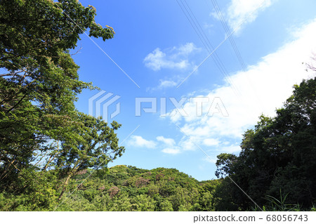 Wetlands of the refreshing summer sky (Kamito's unexplored Koamishiro Forest) 68056743
