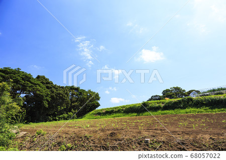 A field in the earth of the Miura Peninsula during the refreshing summer sky A field in the earth of the Miura Peninsula during the refreshing summer sky 68057022