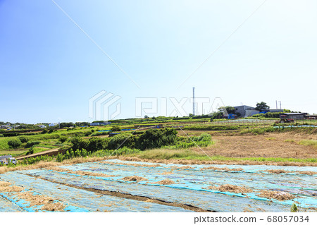 A field in the earth of the Miura Peninsula during the refreshing summer sky 68057034