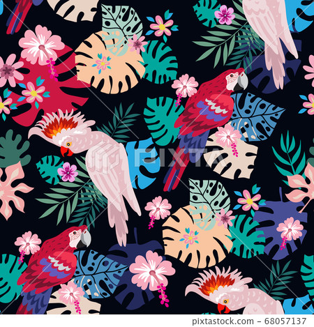 Parrot pattern 1 - Stock Illustration [68057137] - PIXTA