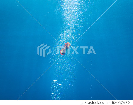 Spanish dancer, Hexabranchus sanguineus, isolated on blue water background. The Spanish dancer is a dorid nudibranch, a very large and colorful sea slug, a marine gastropod mollusk  68057670