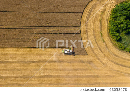 Combine harvester gathers grain on a wheat field, top view. Harvest time. Aerial drone view. 68058478