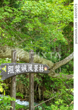 群馬縣鮮綠色的Terubakyo Okutone水上鎮 68059573