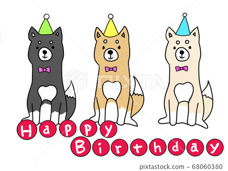 三個柴犬的生日快樂 三個柴犬的生日快樂 68060380