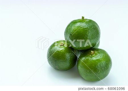 Blue shikwasa fruits that are popular for sightseeing in Okinawa during the summer season Blue shikwasa fruits that are popular for sightseeing in Okinawa during the summer season 68061096